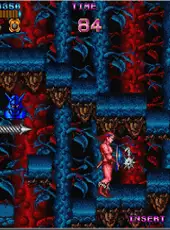 Arcade Archives: Castle of Dragon
