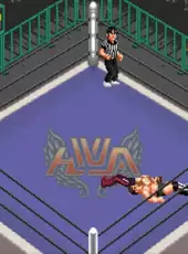 Super Fire Pro Wrestling Special