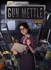 Team Fortress 2: The Gun Mettle Update