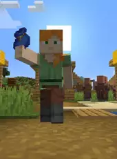 Minecraft: Bundles of Bravery