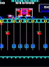 Donkey Kong Junior