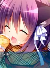Yukikoi Melt