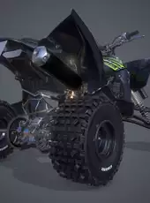 MX vs. ATV: All Out - 2017 Yamaha YFZ450R