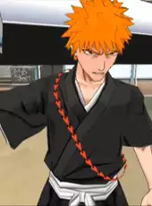 Bleach: Blade Battlers