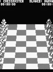 The Chessmaster 2000