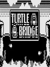 Turtle Bridge