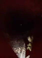 Light: Die to Survive