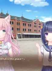 Nekopara After