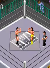 Super Fire Pro Wrestling III: Easy Type