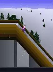 Deluxe Ski Jump