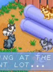 Catz