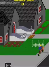 Paperboy