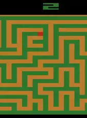 Maze Craze