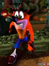 Crash Bandicoot