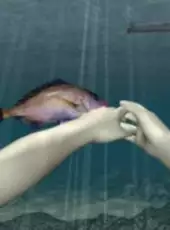 Uki Uki Tsuri Tengoku: Ningyo Densetsu no Nazo