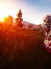 Black Desert