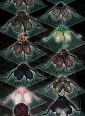 Baroque: Become a Meta-Being