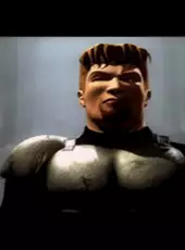 Fighting Force Collection