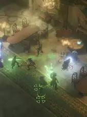 Pathfinder: Kingmaker - The Wildcards