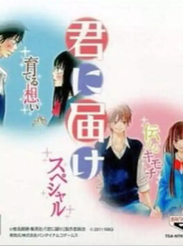 Kimi ni Todoke Special