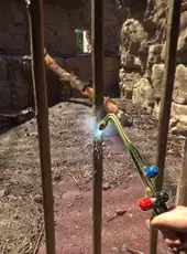 Zoo Simulator