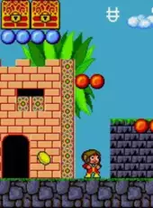 Alex Kidd in the Enchanted Castle