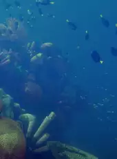 Deep Diving Simulator