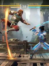 Shadow Fight: Arena