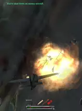 Combat Wings