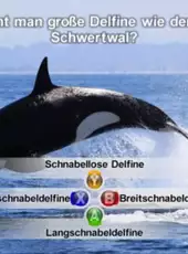 Nat Geo Challenge! Wild Life
