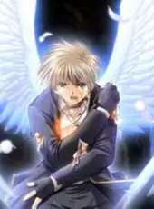 Angel's Feather