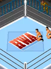 Super Fire Pro Wrestling 2
