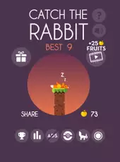 Catch The Rabbit