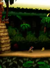 Banjo-Kazooie: Donkey Kong Country
