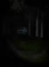 Slender: The Eight Pages