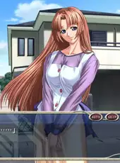 Yatohime Zankikou Extra Kimagure Karasu to Yanchahime