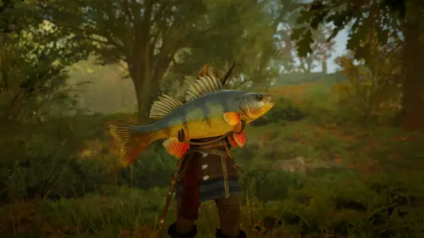 Assassin's Creed Valhalla Guardian Fish: How to find it?