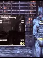 Batman: Arkham City - Batman Inc. Batsuit Skin