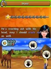 Petz Horsez Family