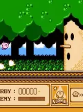 Kirby's Adventure