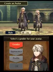 Fire Emblem Awakening