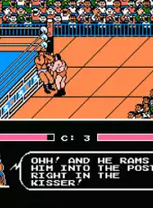 Tecmo World Wrestling