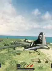 Combat Wings
