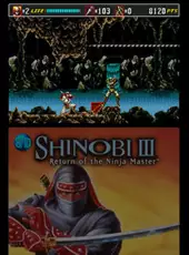 3D Shinobi III: Return of the Ninja Master