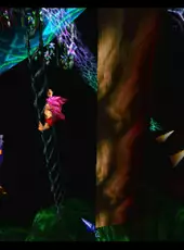 Tomba! 2: The Evil Swine Return Special Edition