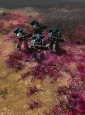 Warhammer 40,000: Gladius - Ultima Founding