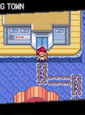 Pokemon: Too Many Types 2