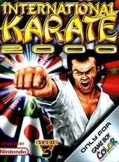 International Karate 2000