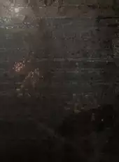 Total Chaos