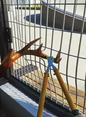 Zoo Simulator
